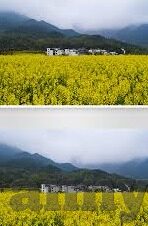 糖心vlog chloe-时尚旅记，糖心Vlog中的Chloe日常点滴